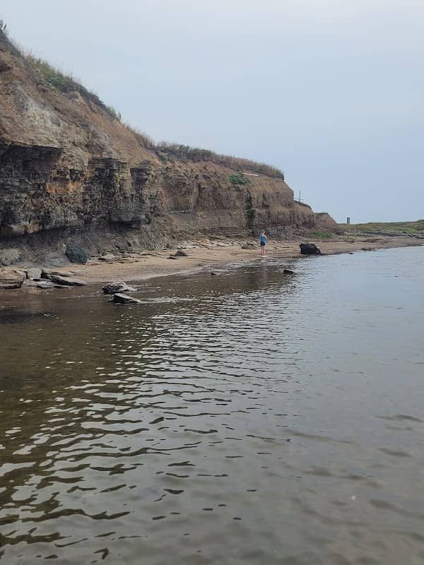 Ocean Beach - Image 1