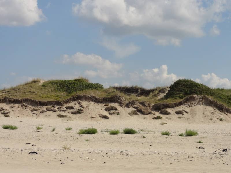 Stængehus Beach - Image 1