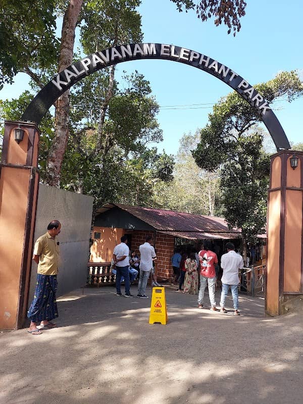 Kalpavanam Elephant Park, Thekkady - Elephant Safari and Bath - Image 2