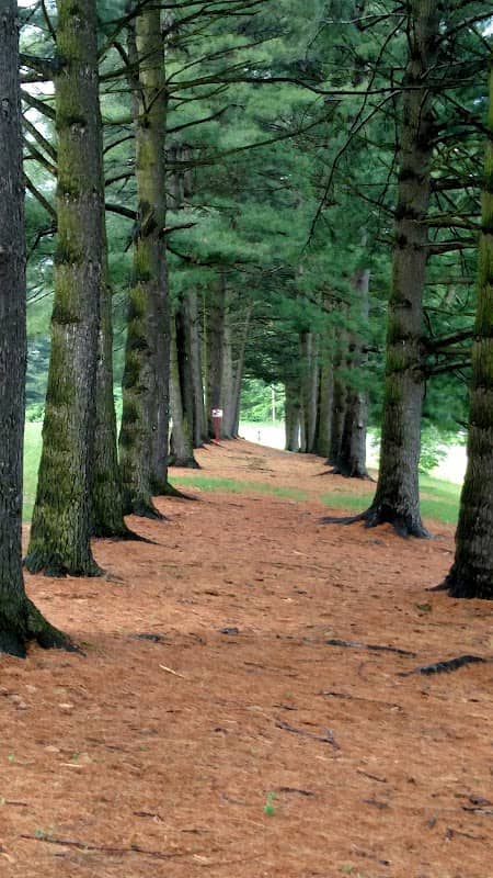 Deis Hills Park - Image 2