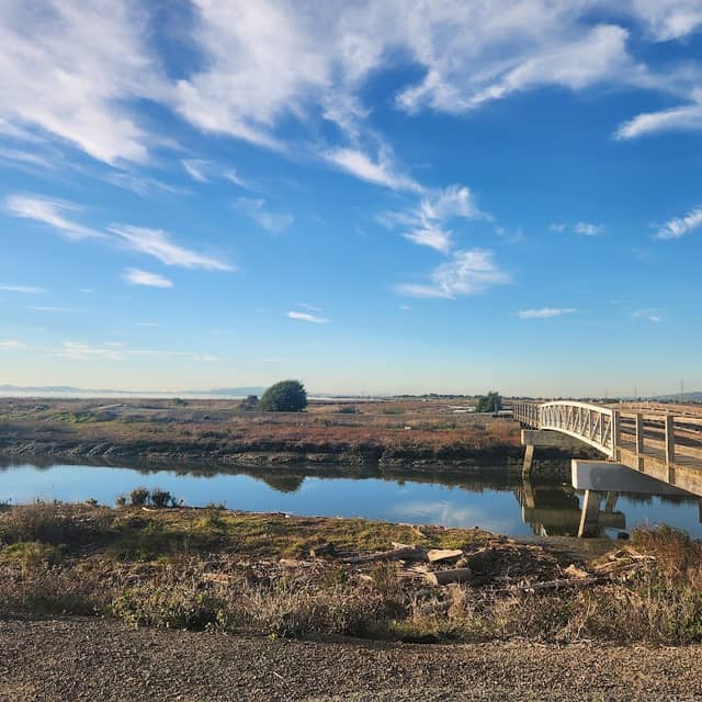 Hayward Regional Shoreline Parking - Image 1
