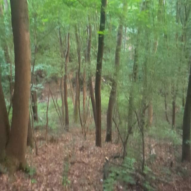 Blachy - Image 1