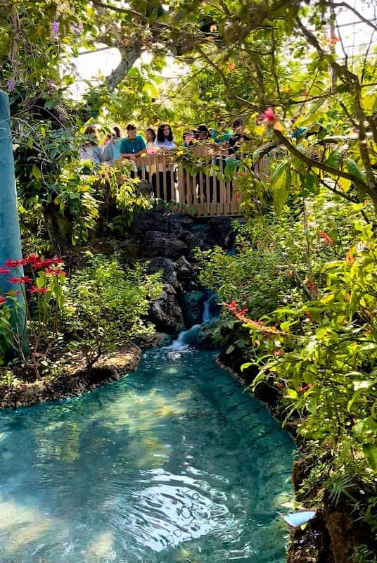 Tropical Rain Forest at Butterfly World - Image 2