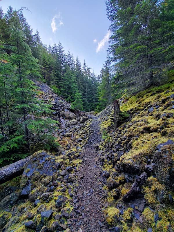 Notch Pass Trail - Image 3