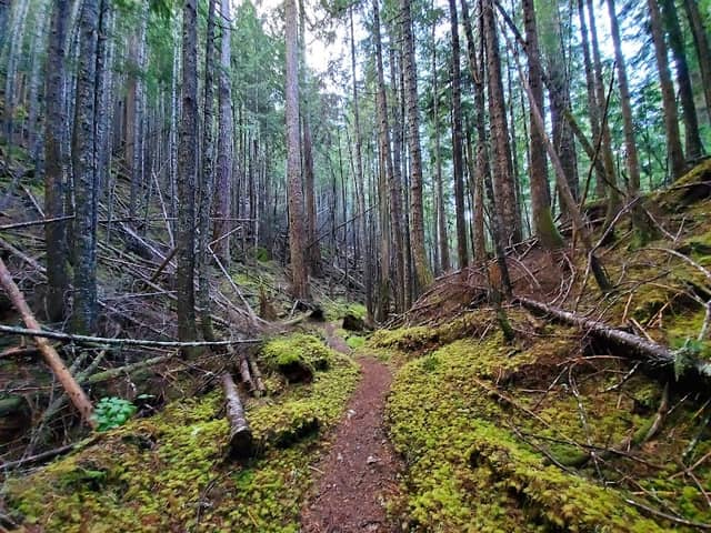 Notch Pass Trail - Image 1