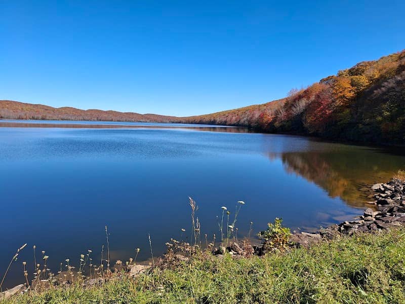 Clinch Mountain Wildlife Management Area - Image 1
