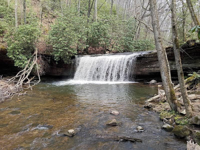Clinch Mountain Wildlife Management Area - Image 2