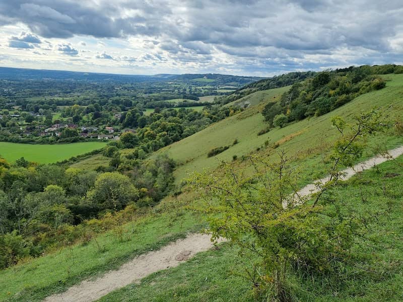 National Trust - Reigate Hill and Gatton Park - Image 3