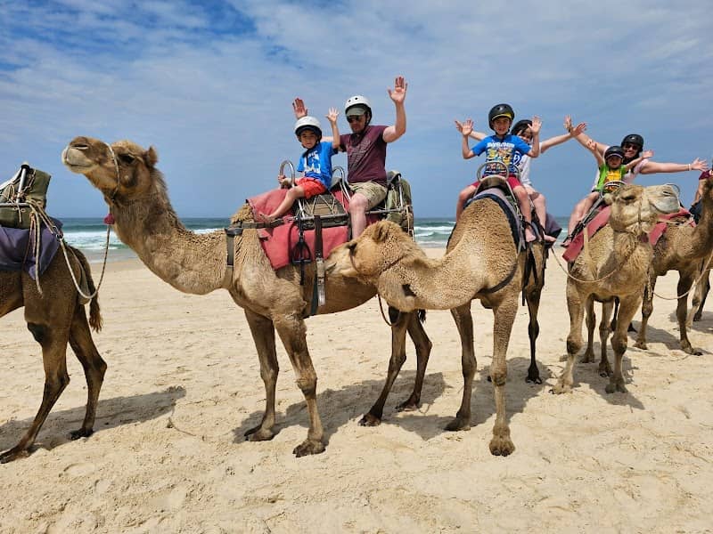Camel Ride - Image 3