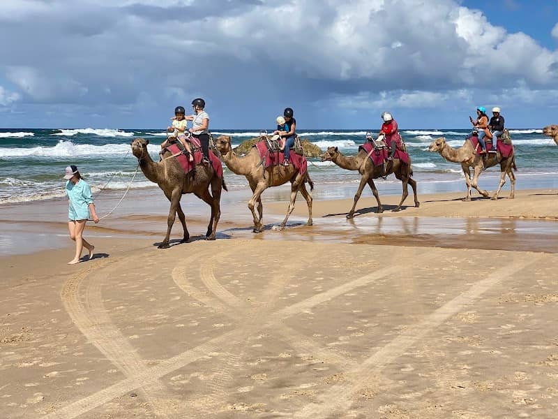 Camel Ride - Image 1