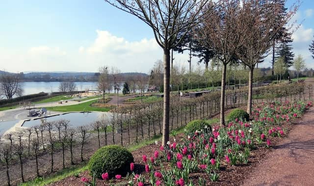 SeeGarten Losheim - Image 1