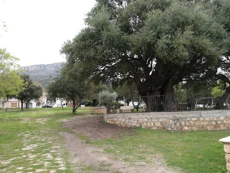 Piazzale degli Olivastri - Image 1