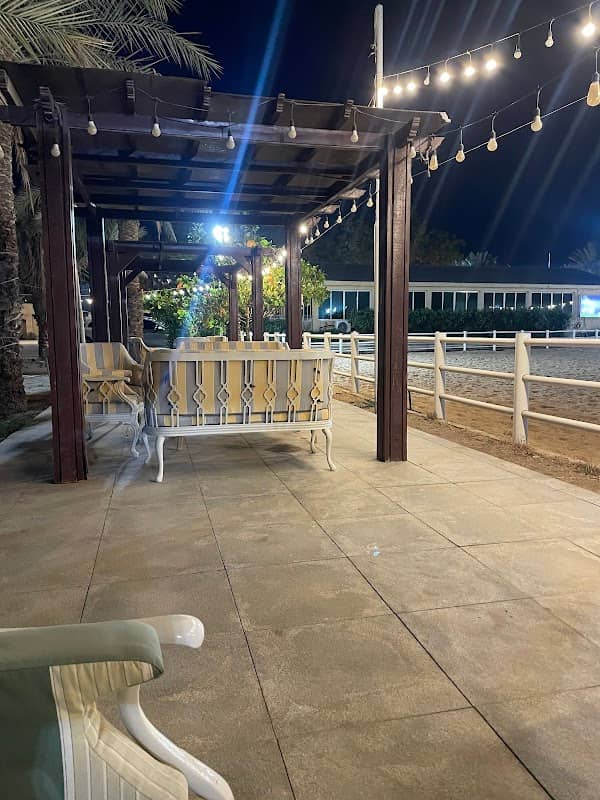 Al Suwaidi Horse Riding Club - Image 1