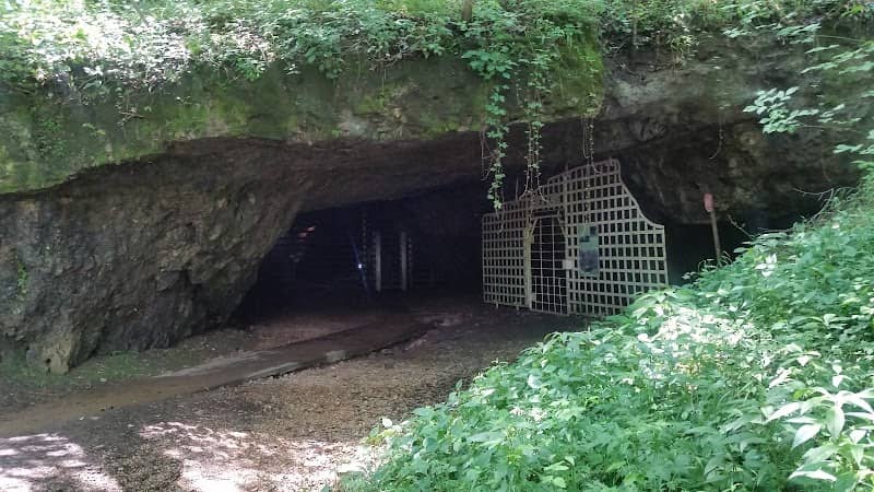 Fisher Cave - Image 2