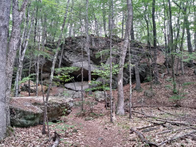 Winnie The Pooh Trail - Image 2