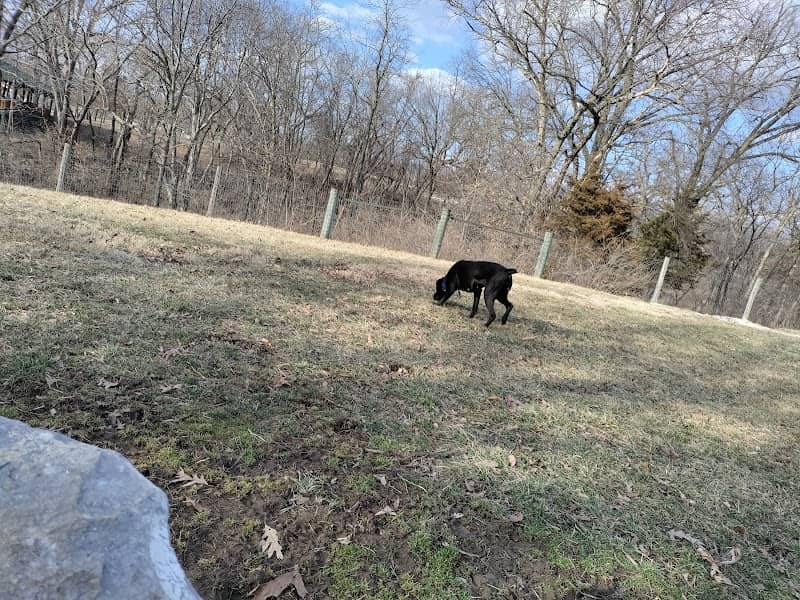 Rothwell Park Dog Park - Image 2