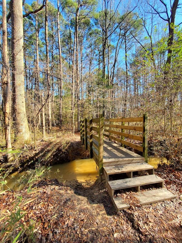Apex Nature Park - Image 3