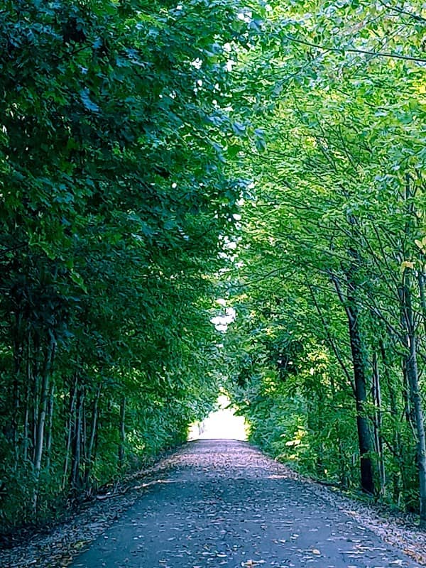 Cardinal Greenway Shaffer Trailhead - Image 3