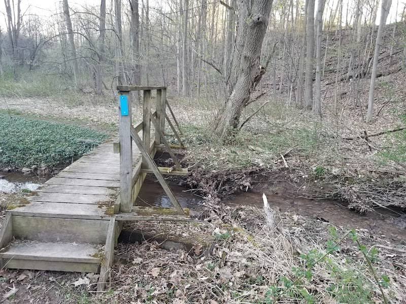 Canastota Cazenovia State Trailway - Image 2