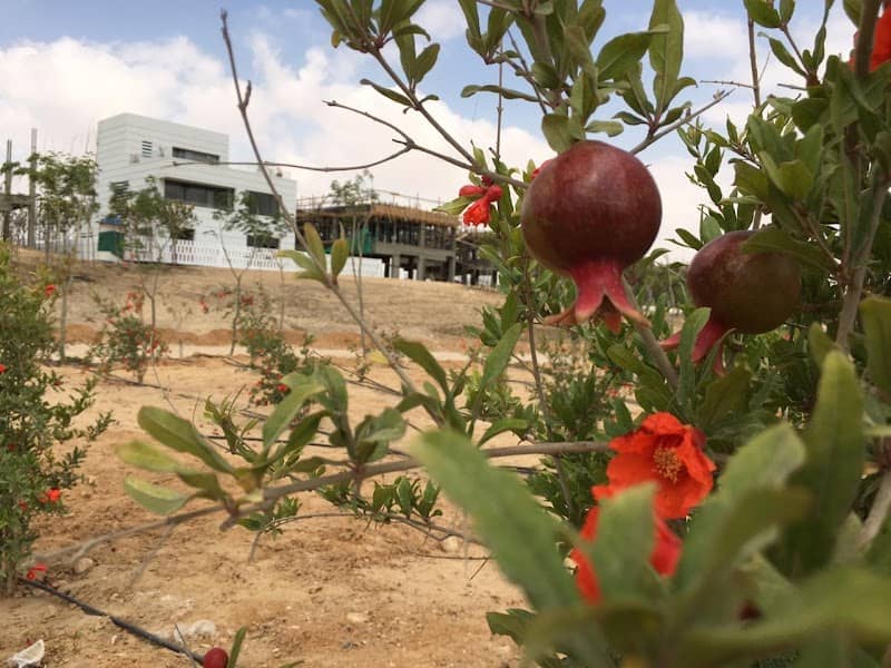 The Orchard Park - Image 1