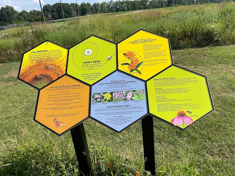 Spectrum Solar Dog Park - Image 1