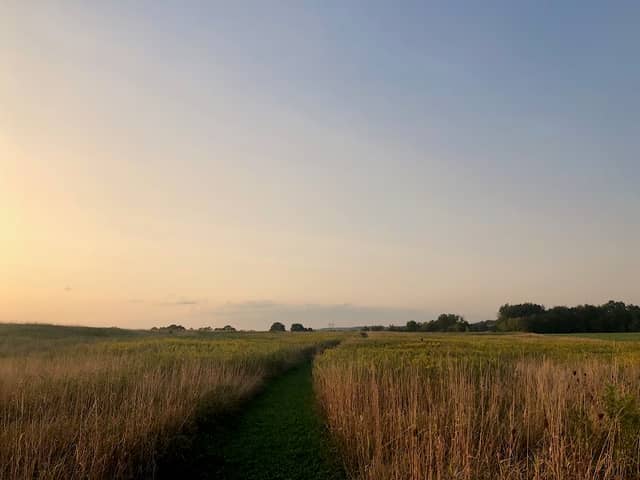 Fry Family Park - Stark Parks - Image 2