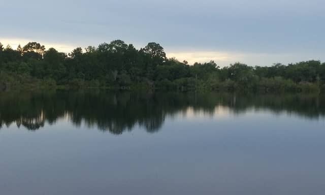 Lake Stanley Park - Image 1