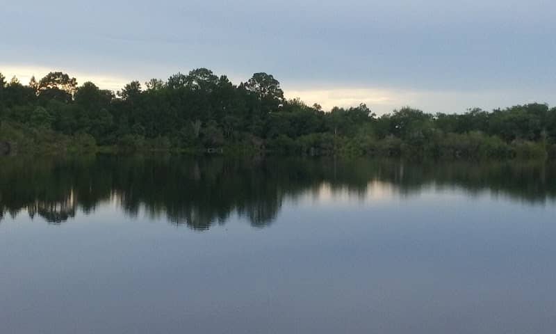 Lake Stanley Park - Image 1
