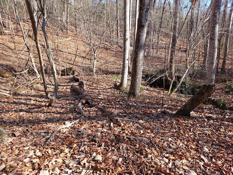 Trailhead to Lower Parking Area - Image 2