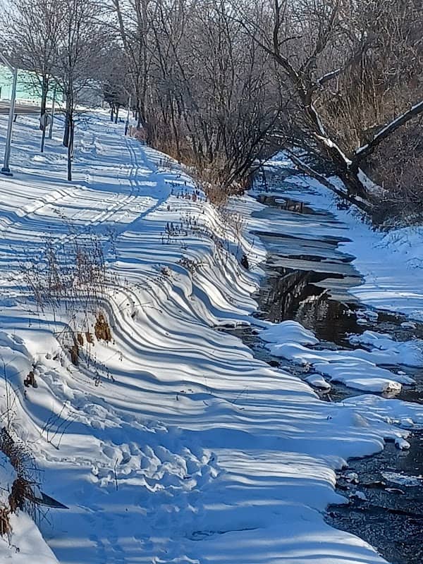 Rountree Branch Trail - Image 2