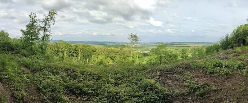 Panorama - Image 1