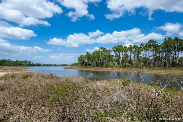 Webb Lake - Image 1