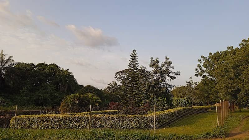 Lautech Botanical Garden - Image 1