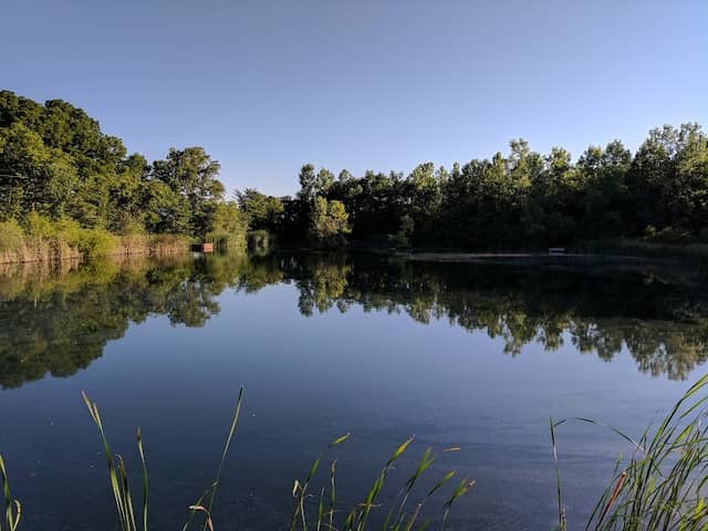 Dubois Creek Resort - Image 2
