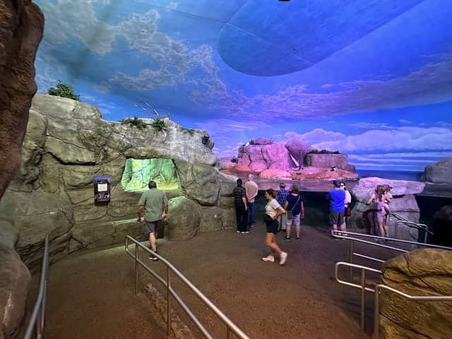 John Ball Zoo - Van Andel Living Shores Aquarium - Image 2