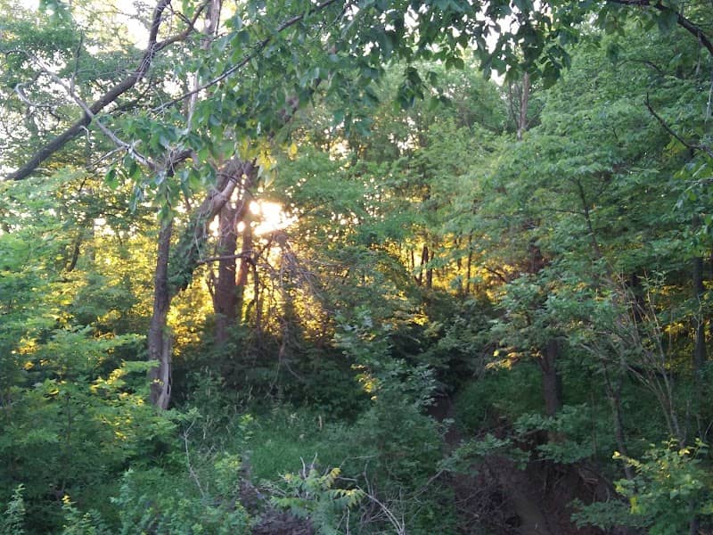 Cooks park - Image 1