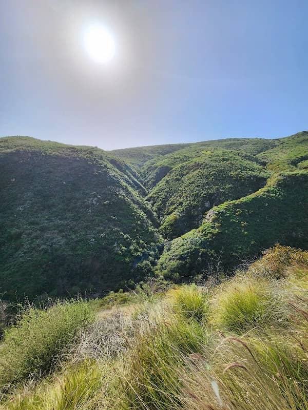 Decker Road Scenic Drive - Image 3