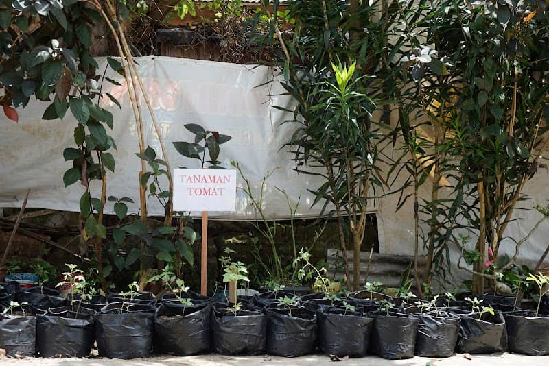 Bung Yoss - Image 1