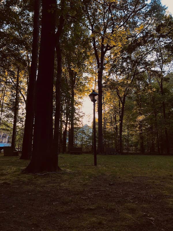 Wythe Creek Farms Park - Image 2