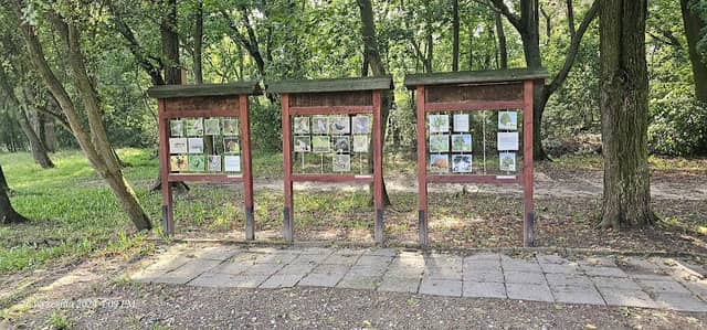 Pałac w Lądzie - Image 1