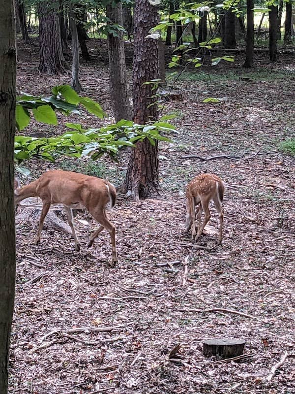 Wildwood Park - Image 1