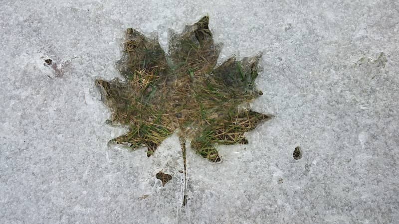 Georgetown Park - Image 1