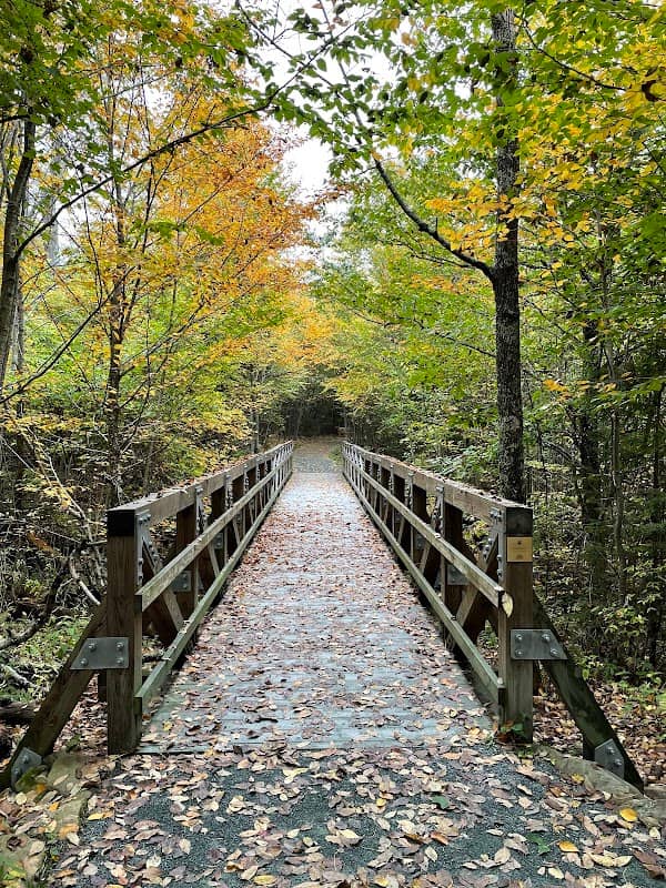 Limberlost Trail - Image 1