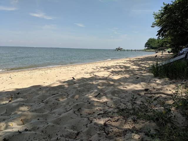 Claiborne Jetty - Image 1