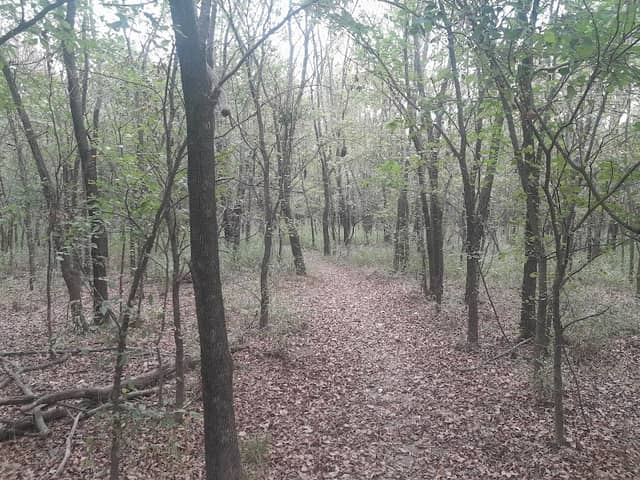 Pryor Creek Nature Trail, Cable Trailhead - Image 2