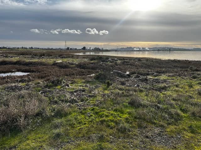 Point Pinole Regional Park - Dotson Family Marsh - Image 1