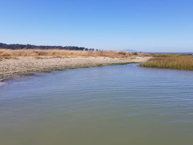 Point Pinole Regional Park - Dotson Family Marsh - Image 3