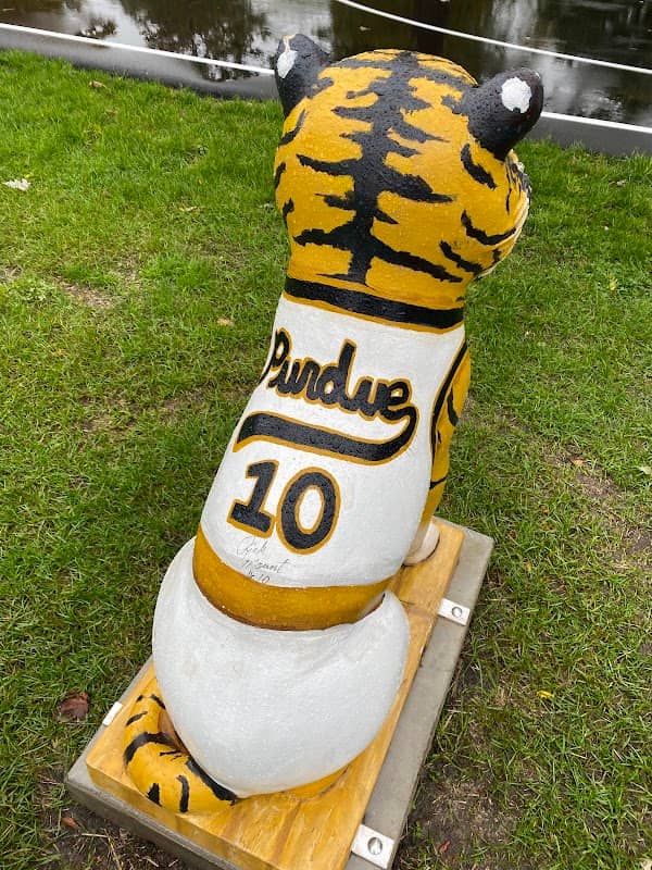 Rocket the Tiger - Image 2