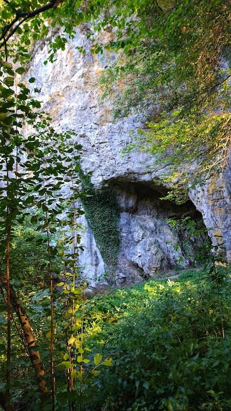 Pestera Boiu de Sus - Image 2
