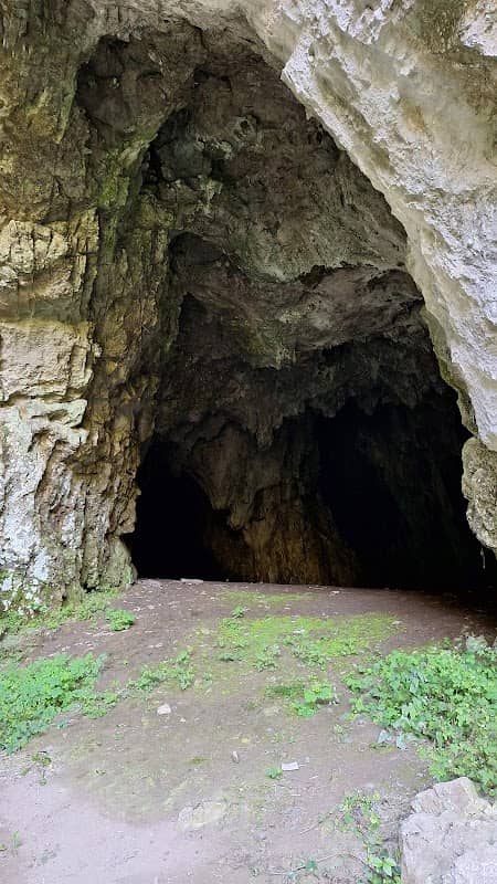 Pestera Boiu de Sus - Image 1